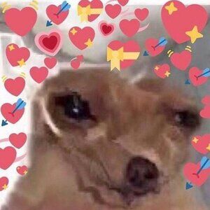 Meet your Posher, Levi